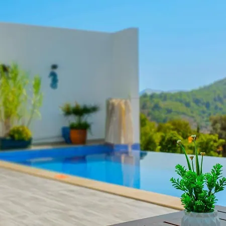 Uezuemlue 2 Bedroom Secluded With Private Pool Hot Tub Villa Kalkan