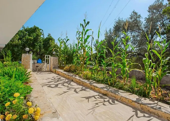 Uezuemlue 2 Bedroom Secluded With Private Pool Hot Tub Villa *